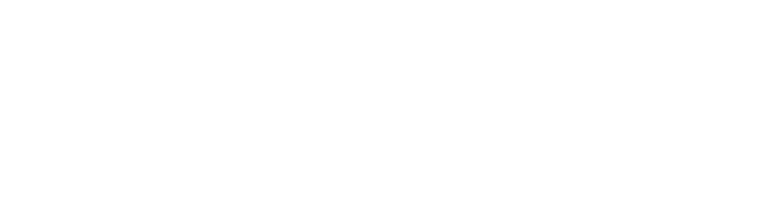 HAZKOR -04